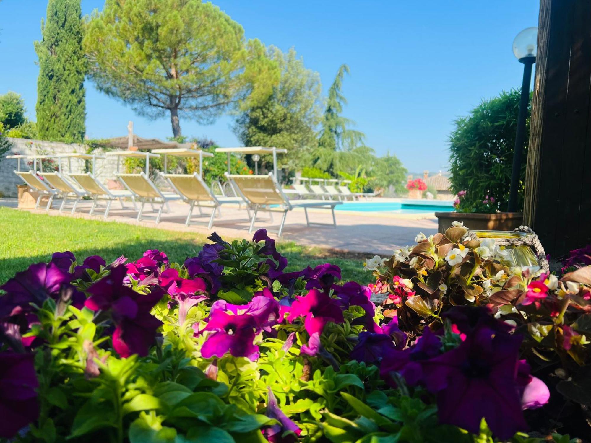 Le Case Di Lisetta Holiday Homes Corciano Bagian luar foto