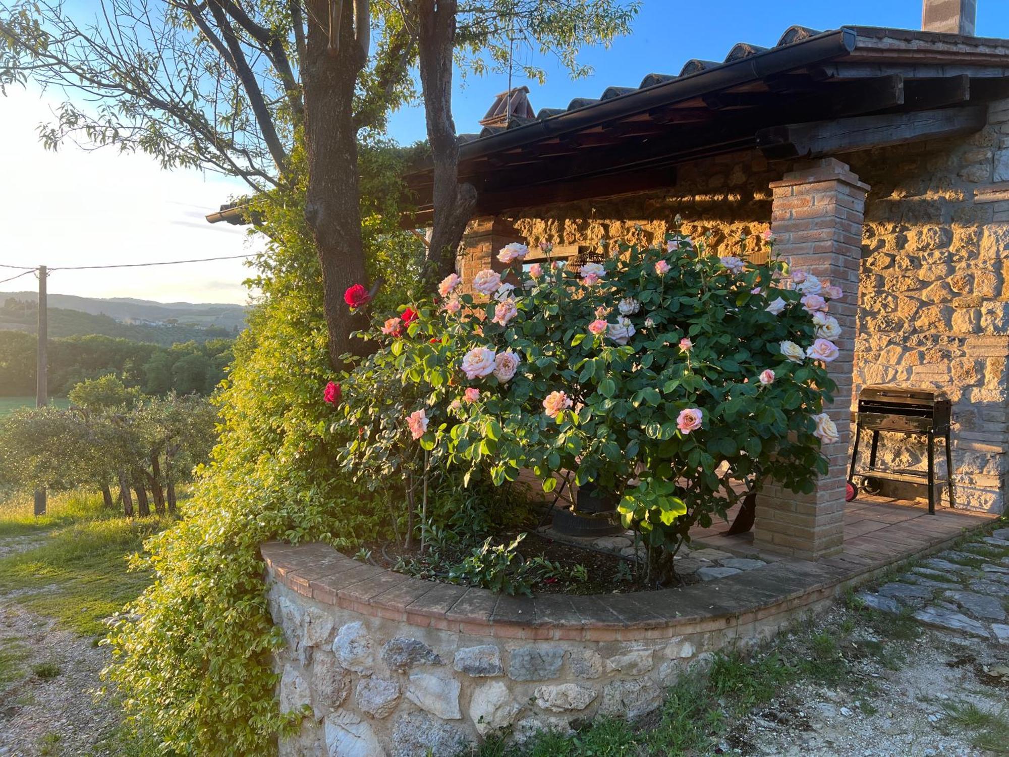 Le Case Di Lisetta Holiday Homes Corciano Bagian luar foto