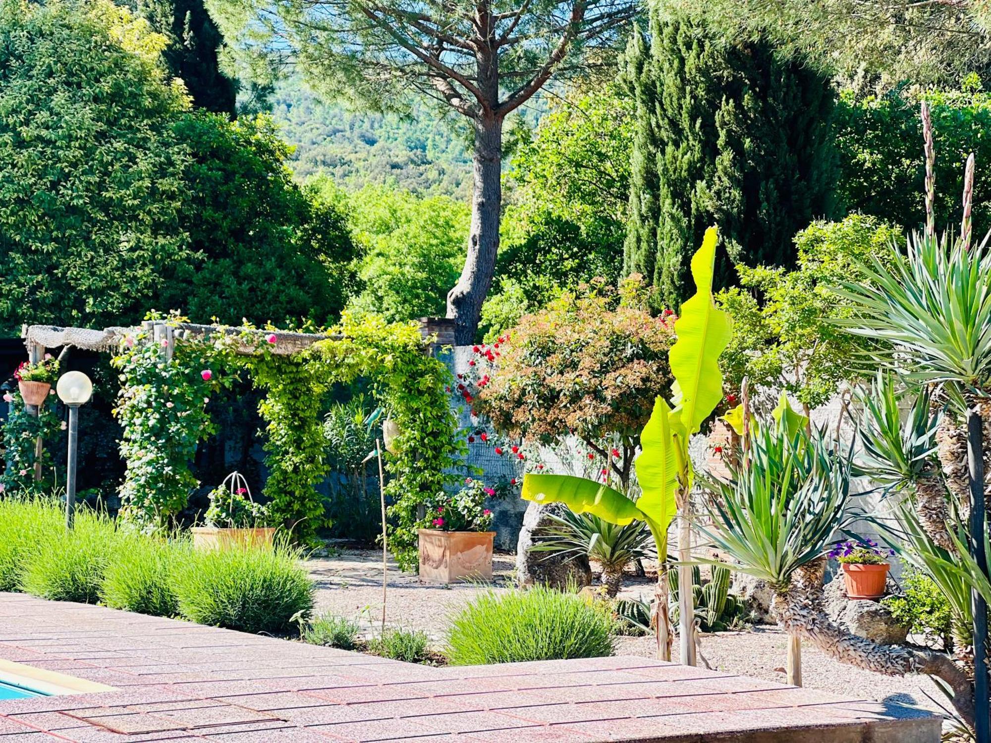 Le Case Di Lisetta Holiday Homes Corciano Bagian luar foto