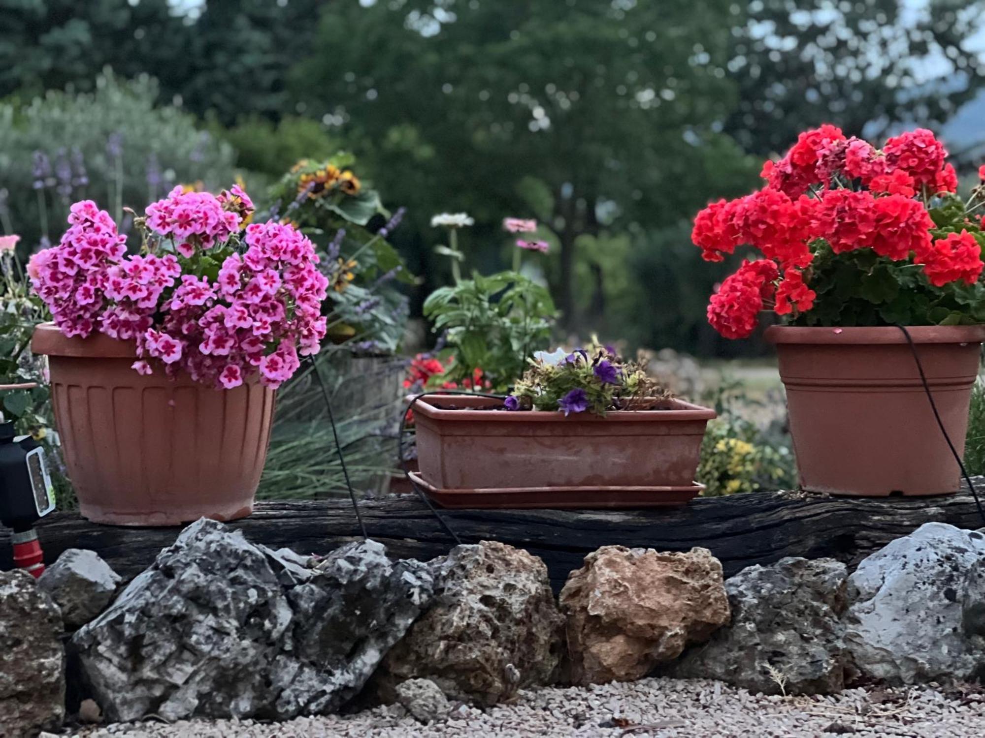 Le Case Di Lisetta Holiday Homes Corciano Bagian luar foto