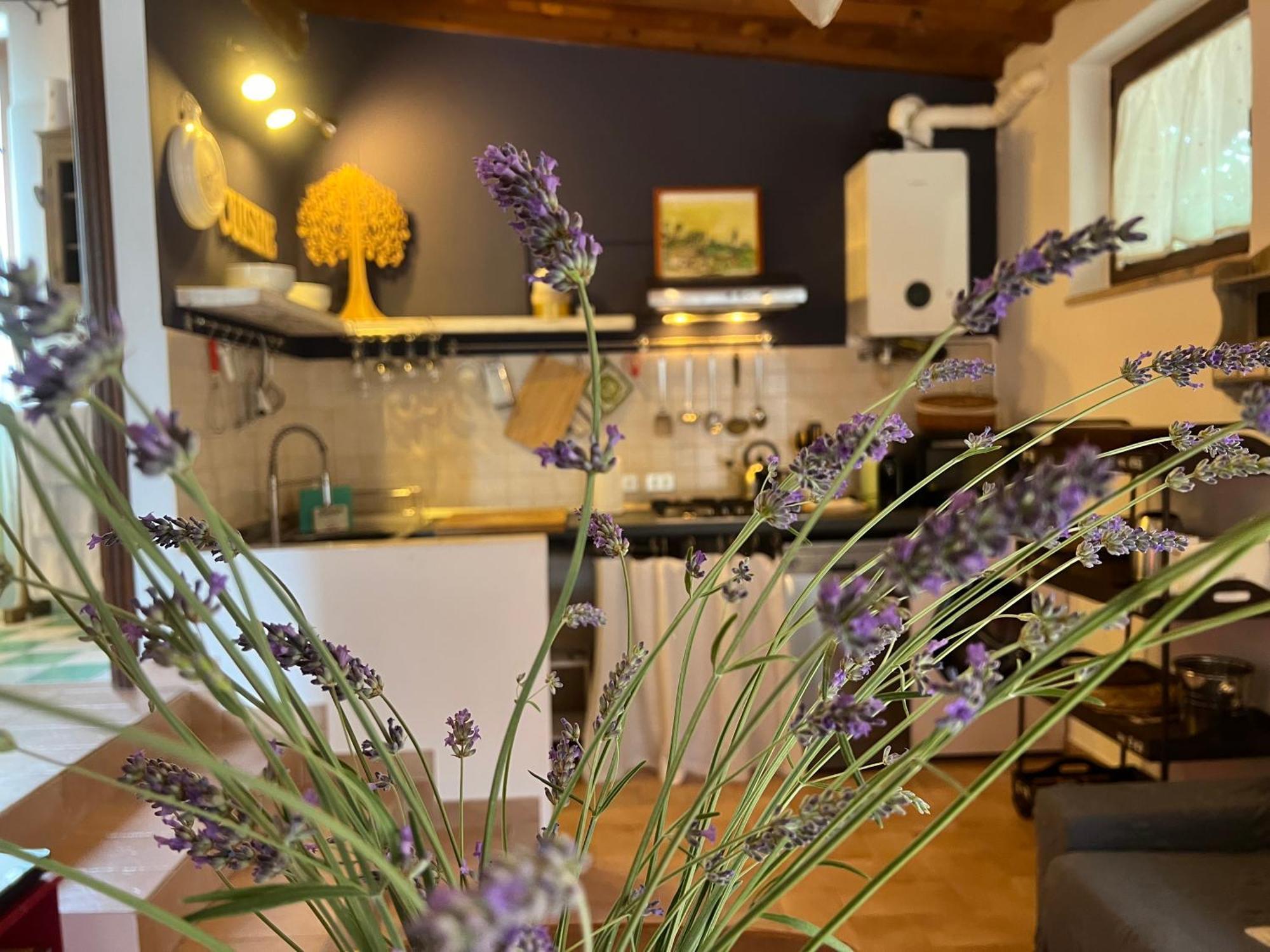 Le Case Di Lisetta Holiday Homes Corciano Bagian luar foto