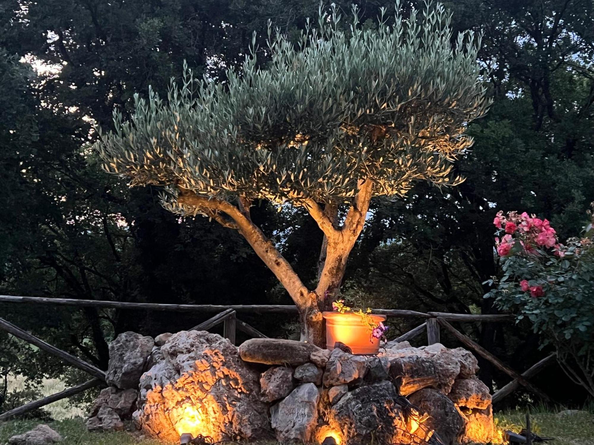 Le Case Di Lisetta Holiday Homes Corciano Bagian luar foto